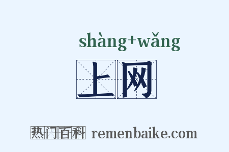 上网是什么意思的图片